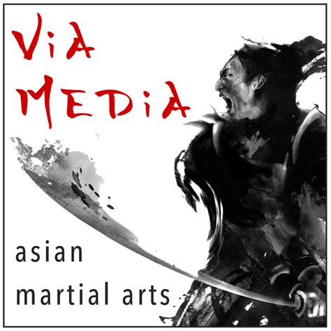Martial Art Books by Via Media Publishing
