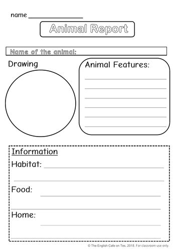 Animal Report Template Teaching Resources