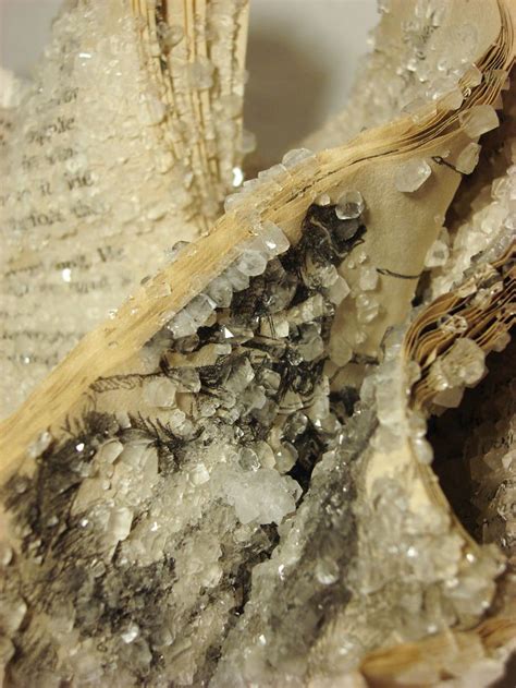 Artist Grows Crystals On Discarded Books To Show Their Fragility