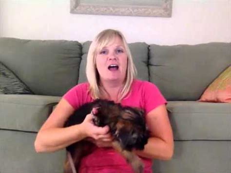 They use their mouths to explore the world, and that includes human skin. How Do You Get a Puppy to Stop Biting - YouTube