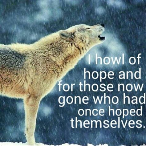 Contact wolf quotes on messenger. Quotes About Wolves Howling. QuotesGram