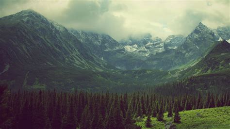 Green Mountains Clouds Landscapes Nature Trees Pine Trees Photo