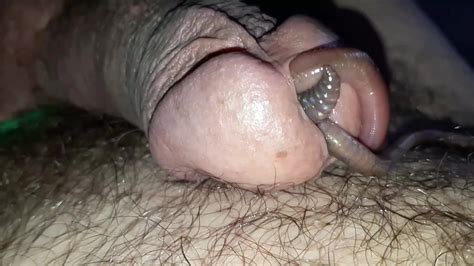 3 Worms In Cock Part 3