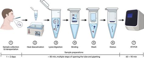 Rapid At Home Molecular Diagnostics Is The Future Of Preventive
