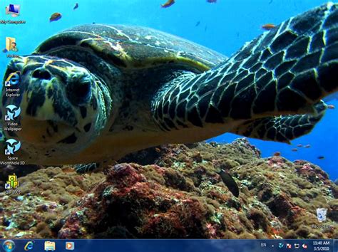 DreamScene Video Wallpaper Free Download for Windows 10, 7, 8/8.1 (64