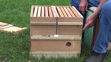 Billy Davis Double Nuc Base Bee Keeping Bee Hive Plans Bee Boxes