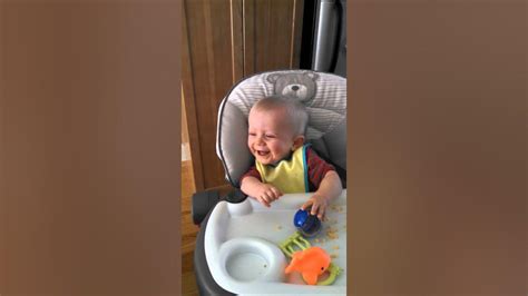 Baby Laughing At Dog Eating Youtube