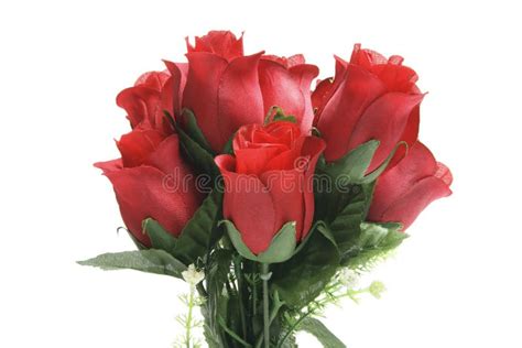 Bunch Of Red Roses Stock Photo Image Of Relationship 12291826