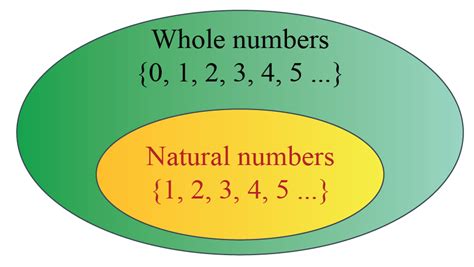 Whole Numbers | Integers | What is Whole Numbers | Definitions - Cuemath