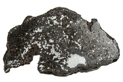 18 Polished Stony Iron Mesosiderite Meteorite 198 Grams Chile
