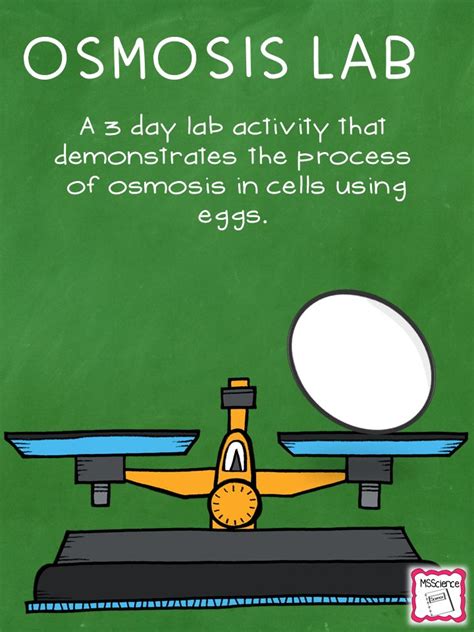 Osmosis is the process whereby water moves across a cell membrane by diffusion. Osmosis Egg Lab | Science cells, Biology experiments, Osmosis