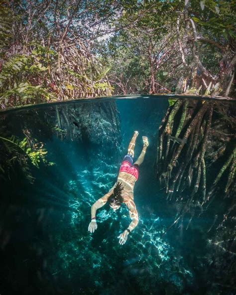 Cenote Cristalino Playa Del Carmen Price Hours And Tours 2022