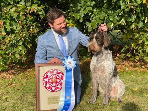 2020 Gwpca National Results German Wirehaired Pointer Club Of America