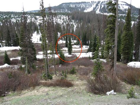 What about san juan wolf being a df user? Wolf Creek Pass CODOS 2012 Update: Colorado Dust on Snow ...
