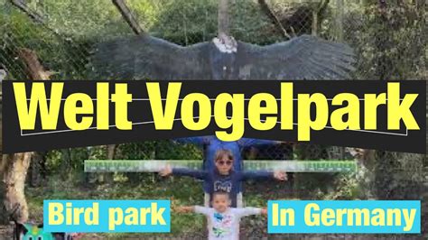 Weltvogelpark Bird Park In Germany Youtube