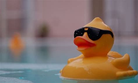 Rubber Duckie You Re The One 34033 Ocean S Reach