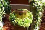 Many people now say, in lieu of flowers send a donation to…. Funeral Flowers For Urns