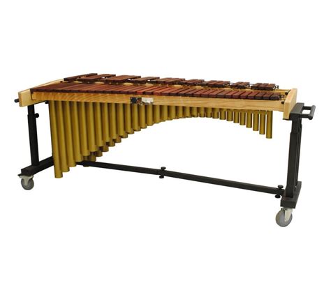 Twitter bir hastalıksa ben hastayım zaten | beşiktaş. Concert | Trixon - Acoustic Drum Sets, Cocktail Drum Kits, Marching Drums, Drumsticks & Mallets