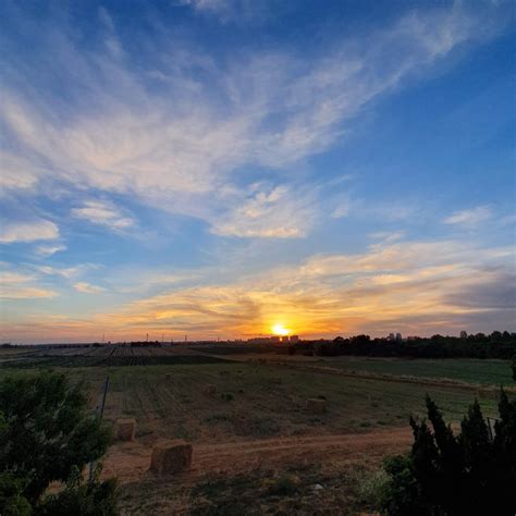 משק עזר שוקק ירוק במרכז הארץ | Dream House Real Estate