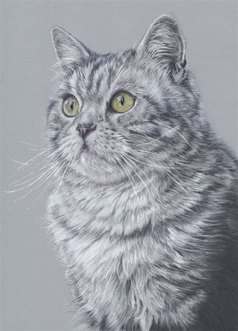Grey Tabby Cat Greeting Card Artist Colour Pencil Drawing Print