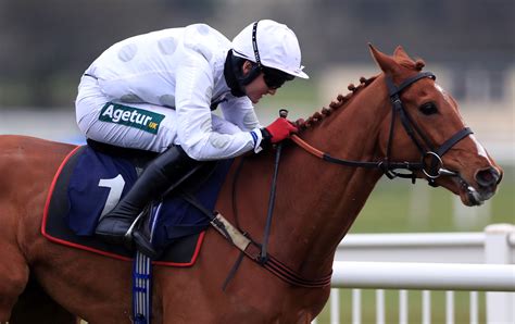 cheltenham festival 2022 arkle chase tuesday 15th march 2022 100 1 arkle chase outsider