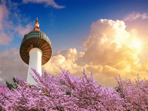 Revealed: the hottest destinations on Airbnb right now - TrendRadars