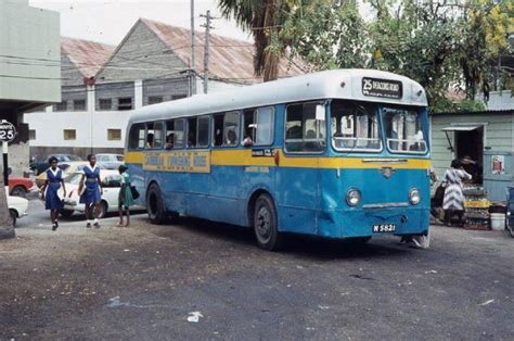 The Start Of The Blue And Yellow Transport Board Buses Barbados Travel Bridgetown Barbados