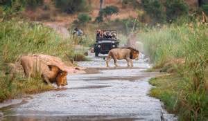 6 Best Safari Destinations In Africa With Hotels Hotelscombined 6