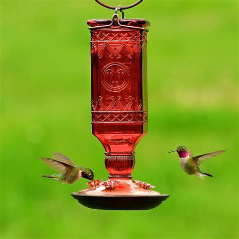 Best Hummingbird Feeder 2023 Top Unique Hummingbird Feeders