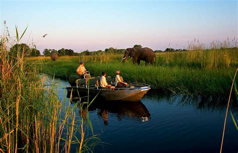 We did not find results for: Okavango Delta Safaris | Okavango Tours | All Inclusive ...