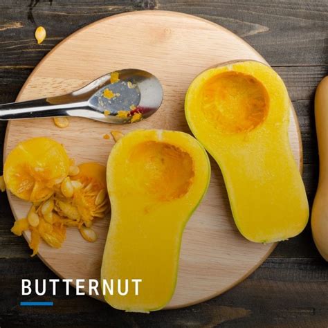 why you should definitely eat more squash nutrition myfitnesspal