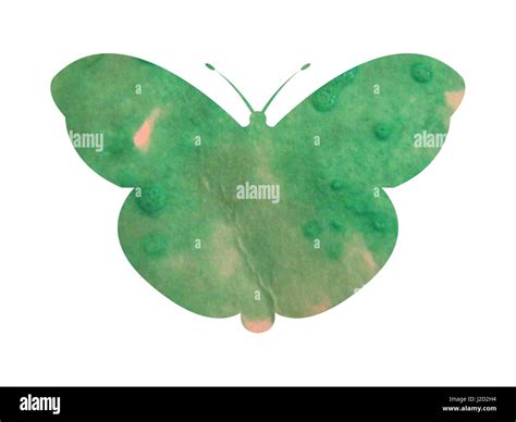 Watercolor Butterfly Hi Res Stock Photography And Images Alamy