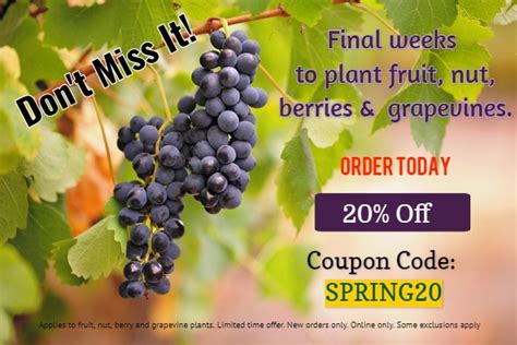 Maybe you would like to learn more about one of these? The Tradition of Ison's - Ison's Nursery & Vineyard