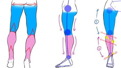 How To Draw Easy Legs For Beginners
