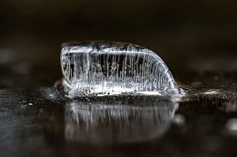Ice Melting Water Free Photo On Pixabay Pixabay