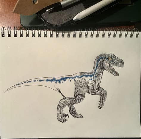 Recolectar 61 Imagen Dibujos De Blue Jurassic World Vn