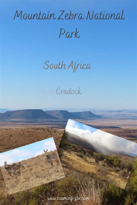 Mountain Zebra National Park Cradock — Roaming Fox Travel Blogger And