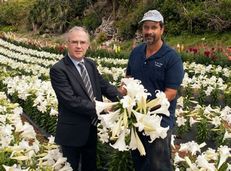 Bermuda Easter Lilies Sent To The Queen Bernews