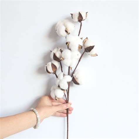 buy naturally dried cotton stems farmhouse artificial flower filler floral decor at affordable