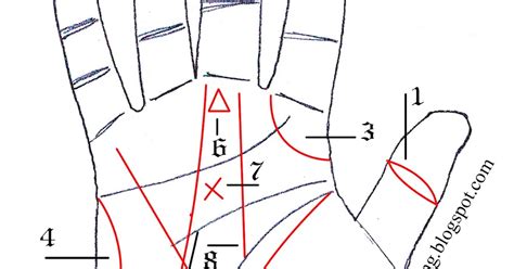 Sign Of Palmists And Astrologers Hand Palmistry Indian Palm Reading