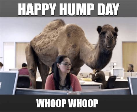 Hump Day Camel Meme Make Viral Memes In Seconds