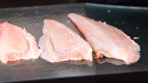 buy cook flounder fish filleting youtube