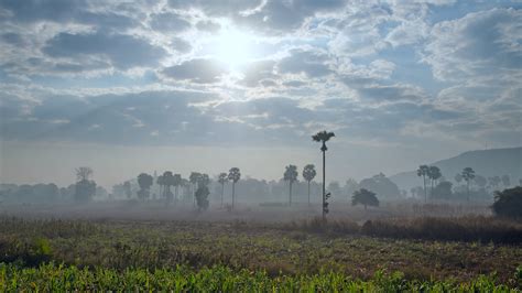 Malaysia, last week, decided to cut duty on export of crude palm oil which will make malaysian supplies cheaper for indian importers provided indonesia does not change its strategies, according to. CIFOR Research published: Current Practices and ...