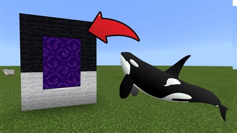 How To Make A Portal To The Orca Dimension In Mcpe Minecraft Pe Youtube
