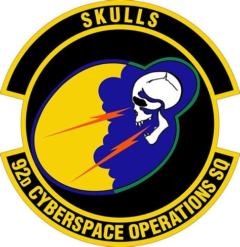 Usaf 92nd Cyberspace Operations Squadron Skulls United States