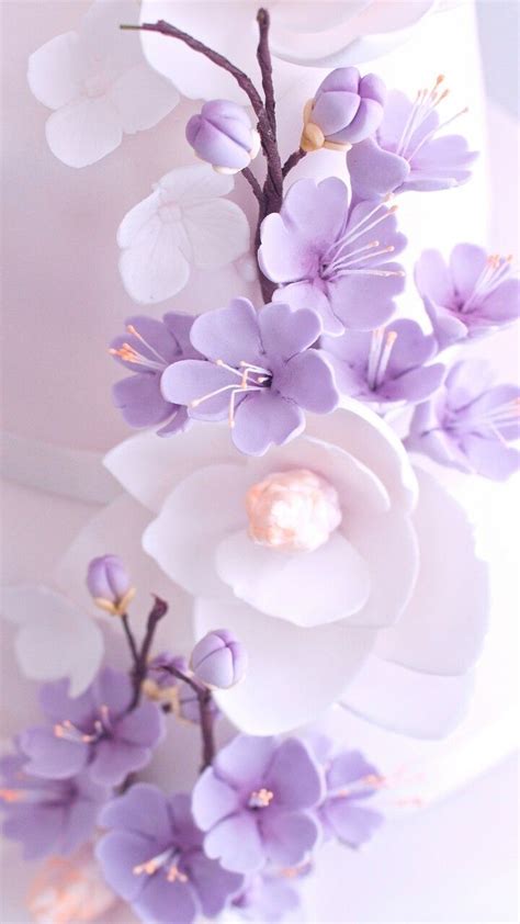 Light Purple Flower Wallpapers Top Free Light Purple Flower