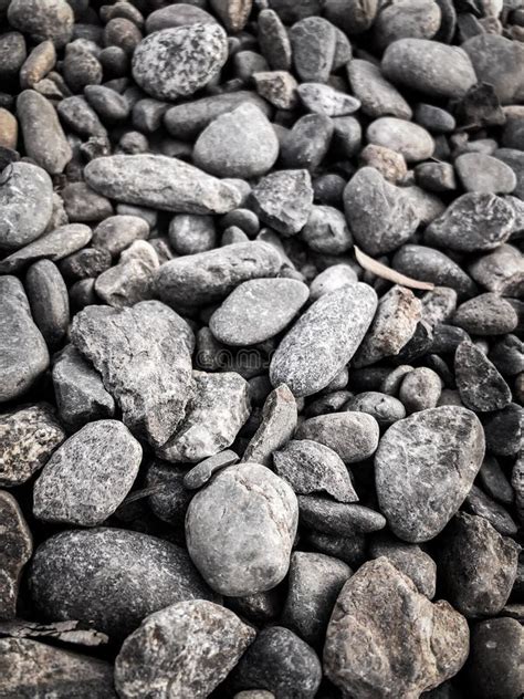 Portrait Photo Of Rocks And Pebbles Stock Photo Image Of Natural