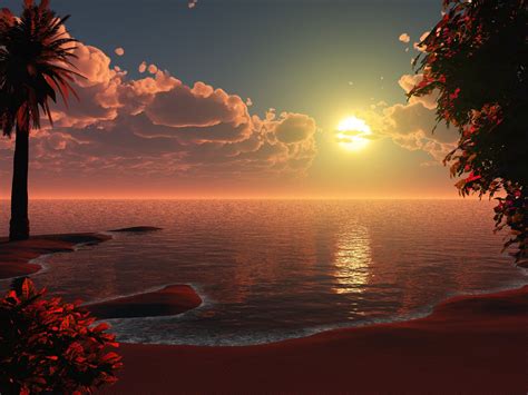 The Tropical Sunset Wallpaper And Background Image 1600x1200 Id