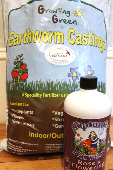 Earthworm Castings The Old Walsh Farm