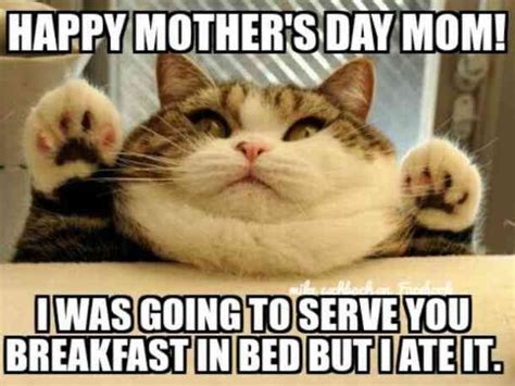47 mother s day memes she ll love in 2024 funniest memes for moms
